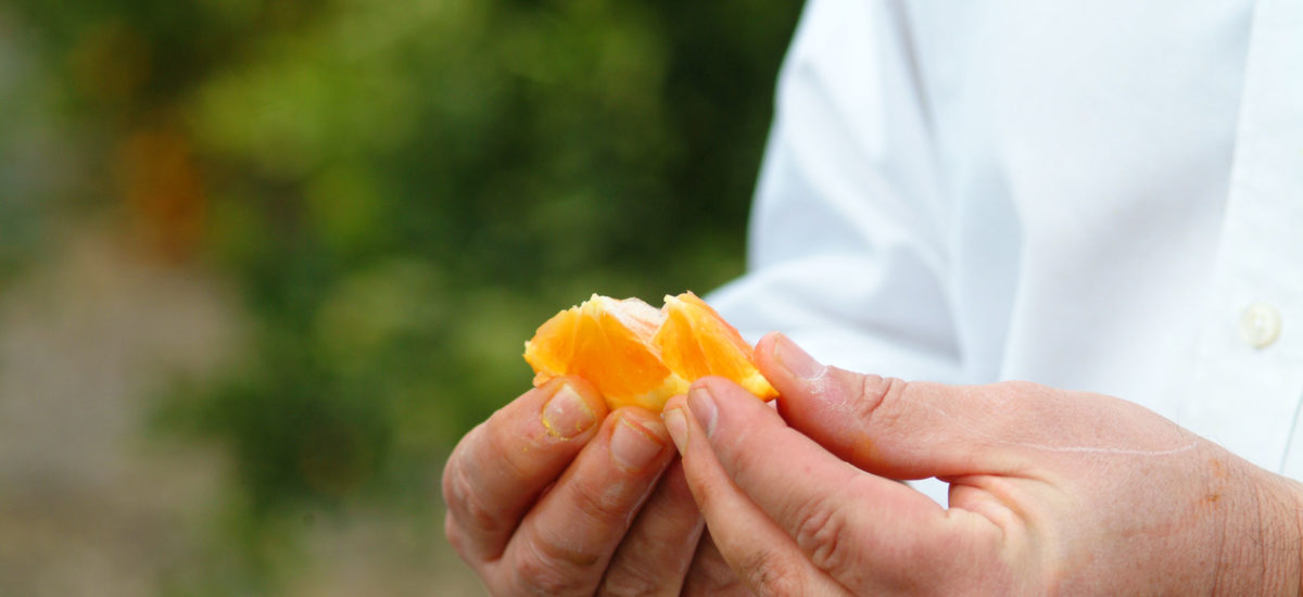 Eating and Living Healthy